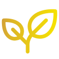 ph_plant (1).png